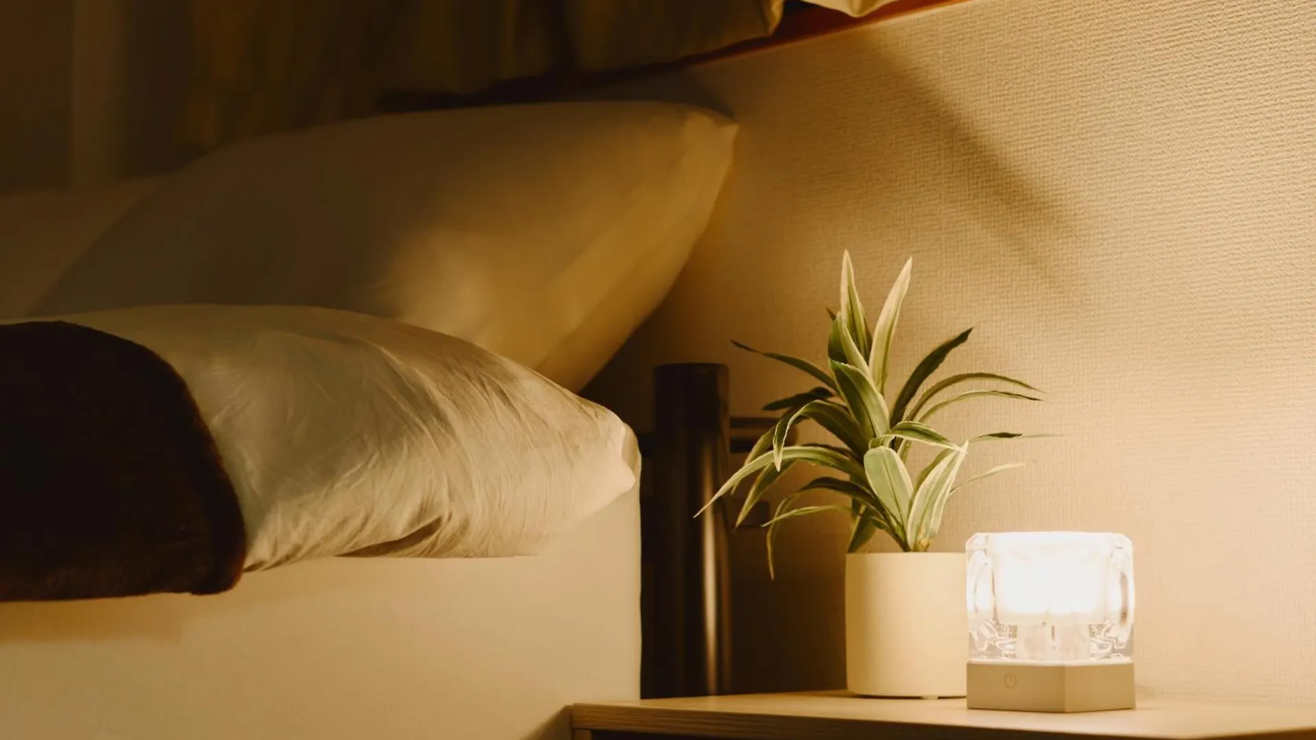 Evergreen Apartment Hotel Tokyo